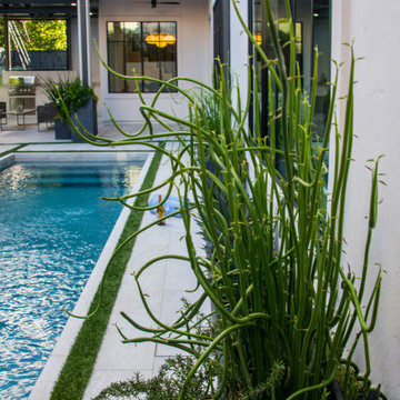 Afton Oaks Modern Swimming Pool and Landscape Design