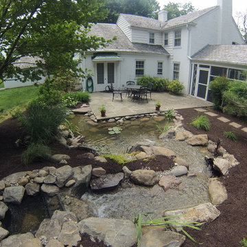 Pond Renovation