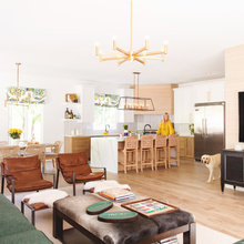 Scandinavian / Mid Century Modern Great Room Ideas