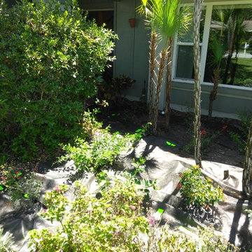 Butterfly Habitat/ITC tree care