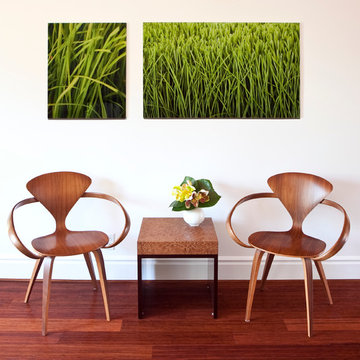 FLORAL ART STUDIO AND RETAIL SPACE