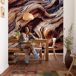 National Geographic Murals - Wall Decals