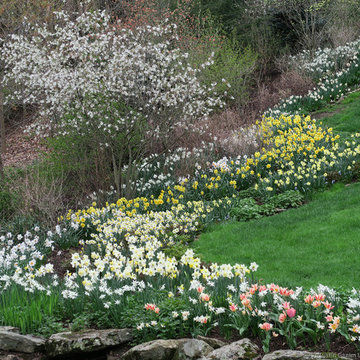 Riparian Retreat - Southport, CT