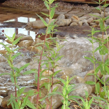 Bassin avec lame d'eau