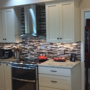 Transitional kitchen renovation