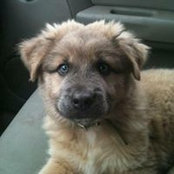 Fidel Guerrero's photo