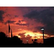 Amy Roth's photo