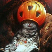 Sheri DeSmet's photo