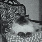 Lori Gooch's photo