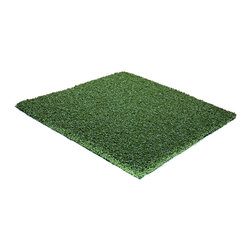 SYNLawn Classic Putt - Products