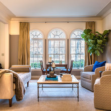 Living Room Windows