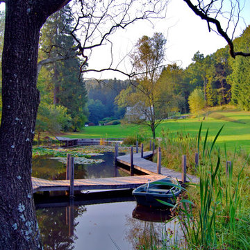 ON THE EDGE OF THE FOREST