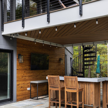 The Contemporary House - Great Falls VA