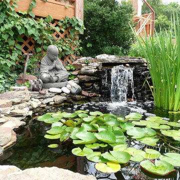 Asian inspired gardens