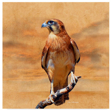 "Bird Collection 27" by Ata Alishahi, Canvas Art, 14"x14"