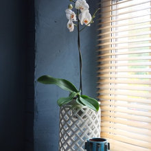 Wall