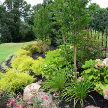 Landscaped garden