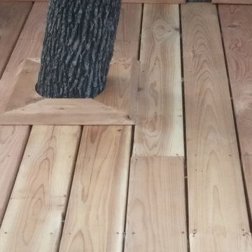 Childs Day Daycare Tree House