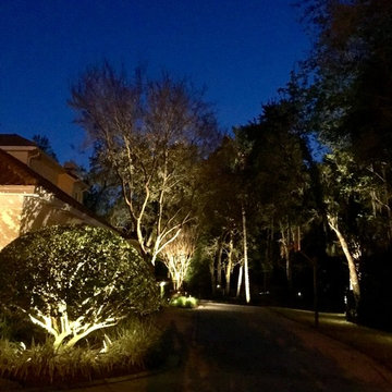 Landscape Lighting Orlando Fl