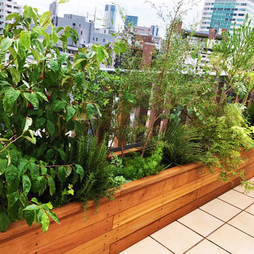 Y Residence's Balcony