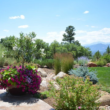 Annual Flowers