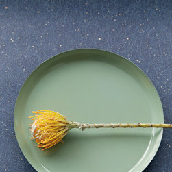 Vivid Wallpaper Collection - Wallpaper