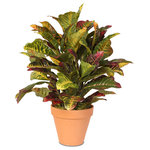 Jenny Silks - Multi Colored Real Touch Croton Plant in Clay Pot - Real Touch Croton Plant in Clay Pot