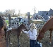 Tonya Petersen's photo