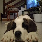 Foto de Max Power
