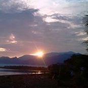 Arlene Panzner's photo