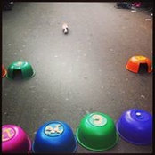 Aleksandra Brzozowski's photo