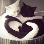 Trish Easson's photo