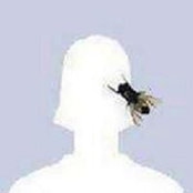Emanuele Lannocca's photo