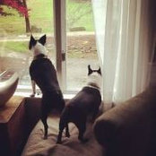 George Drew's photo