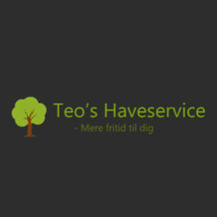 Teos Haveservice