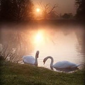 Madawi Al's photo