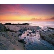 Toni Stepien's photo