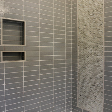 Shower Tile featuring Sonoma Tilemakers Vihara Accent Strip