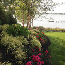 Landscape Ideas