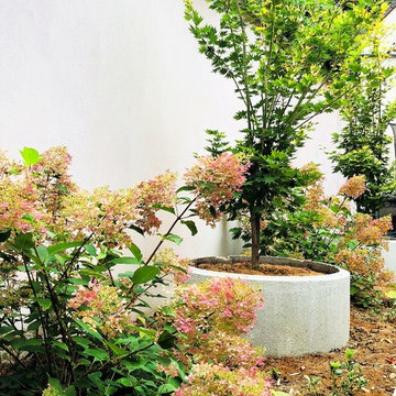 Jardin d'expression : l'aménagement original d'un patio