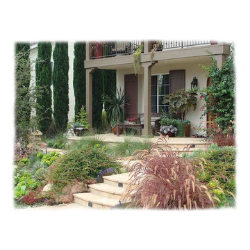 Water-wise Lawn Alternatives