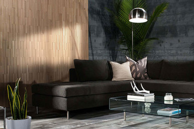 Inspiration for a contemporary living room in Chicago with grey walls and light hardwood floors.