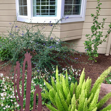 Saratoga - Lawn replacement & reduction