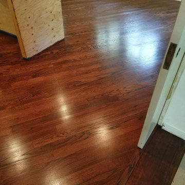 Our Work