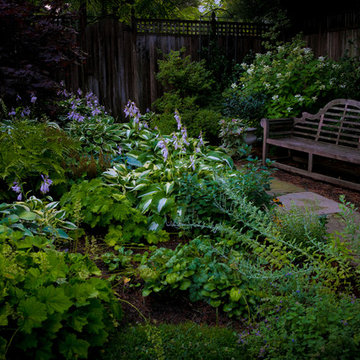 Washington DC Water Feature, Garden, & Arbor