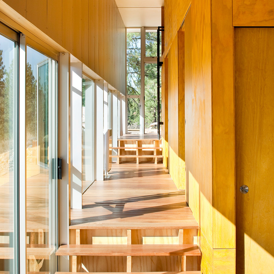 Modern Cabin Interior