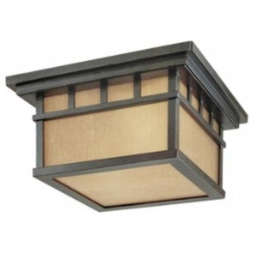 Dolan Designs 9119-68 Barton - Two Light Outdoor Flush Mount