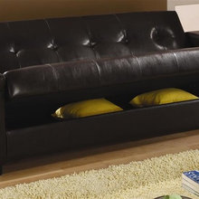 Sleeper Sofa