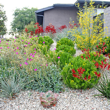Drought Tolerant Landscape Design