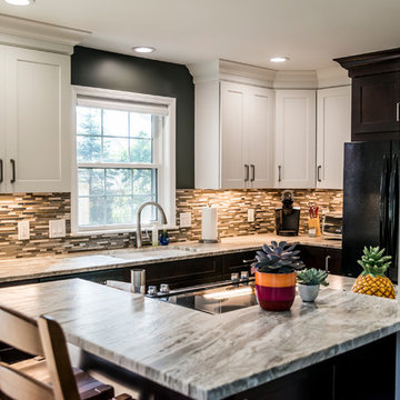 Dark and Light Kitchen